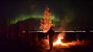 Пикник Ночь Северное сияние в реальном времени. Полярный круг. Салехард Пикник ночь