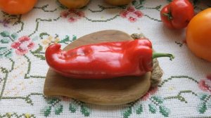 Перец ПАЛАНИЧКО ЧУДО * Сорта перца