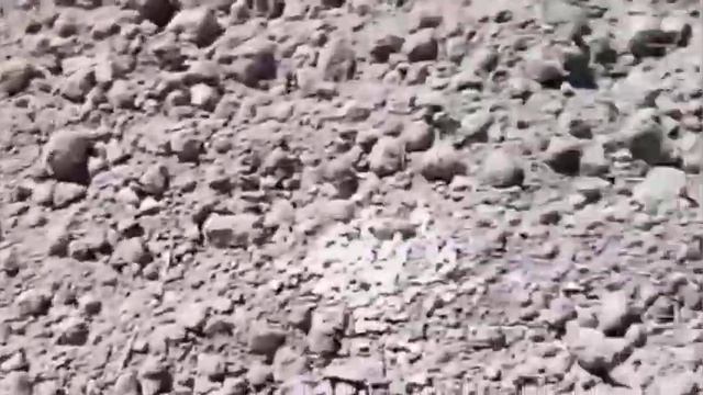 Древесная зола как удобрение для картофеля! смотреть онлайн