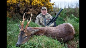 Охота на косулю с подхода в Шотландии.