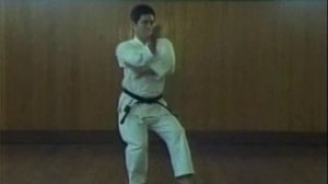 Бункай Гэкисай дайни ката, Годзю рю карате до