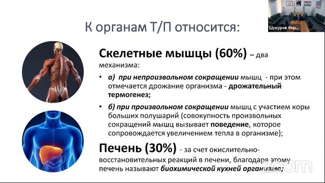 Физиология терморегуляции.
