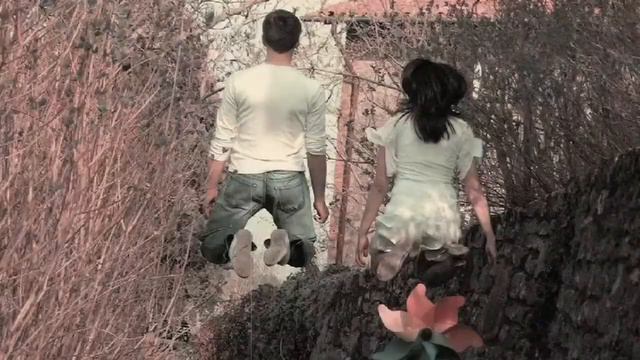 Video dallo spettacolo Dreambirds - Montaggio Marcello Fanni смотреть онлайн