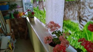 Повесили шторы на балкон