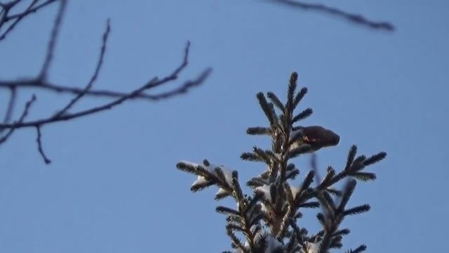 Проверка очередного путика смотреть онлайн