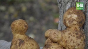 13 Фандас Сафиуллин: неудобный депутат. Соотечественники 14/09/17 @ТНВ