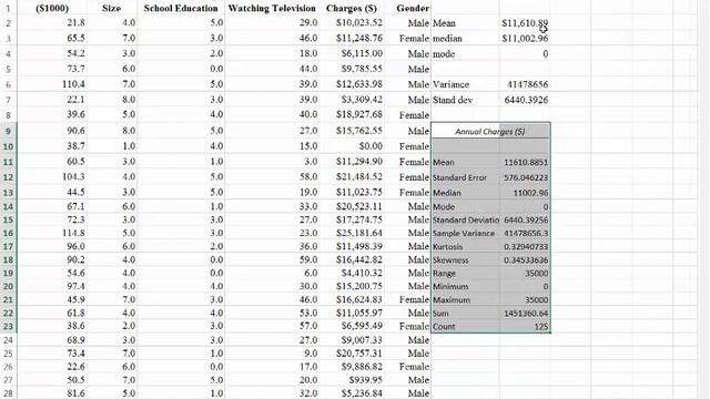 Descriptive Statistics Using Excel