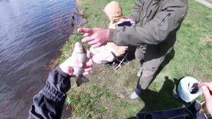Джамгаровский пруд 30.04.22.