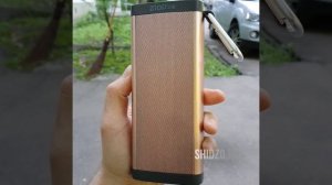 Беспроводная колонка Ziop