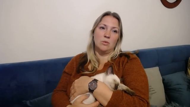 Купила тайского котёнка. Отпуск на Мальте превзошёл мои ожидания смотреть онлайн