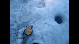 Ловля леща зимой на мормышку.