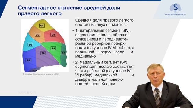 Функциональная анатомия легких. Плевра. Средостение. смотреть онлайн