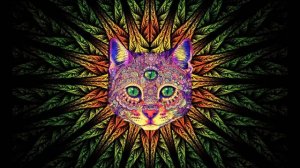 Best Rave/Party Songs Mix #1: PSY TRANCE, MINIMAL, GOA TRANCE, HEAVY BASS