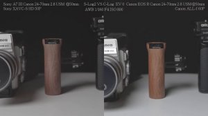 Sony  A7III  VS   Canon EOS R (JPG, Video,  ISO,  Log,  Lut)