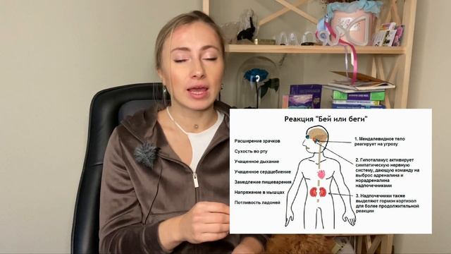 В чем разница между чувствами и эмоциями? Зачем их осознавать? Про эмоциональный интеллект.