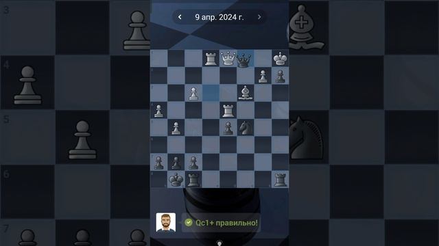 6. Chess quests #shorts