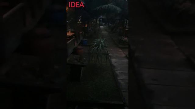 Intip Samba Resto, Restoran di Kalimantan Tengah yang Cocok untuk Kumpul Keluarga смотреть онлайн