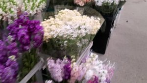 ОПТОВЫЙ ЦВЕТОЧНЫЙ РЫНОК/КРАСНОДАР/