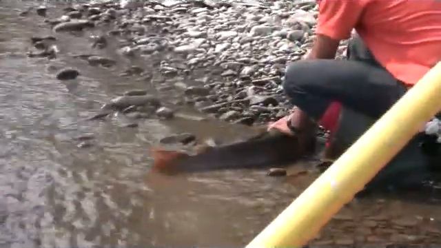 за тайменем (часть 1 - прибытие) смотреть онлайн