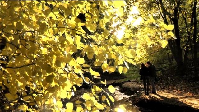 Прощание с осенью . Осенняя любовь, романтическое  настроение  и про грибы . HD