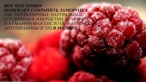 Теряют ли замороженные овощи свои полезные качества?