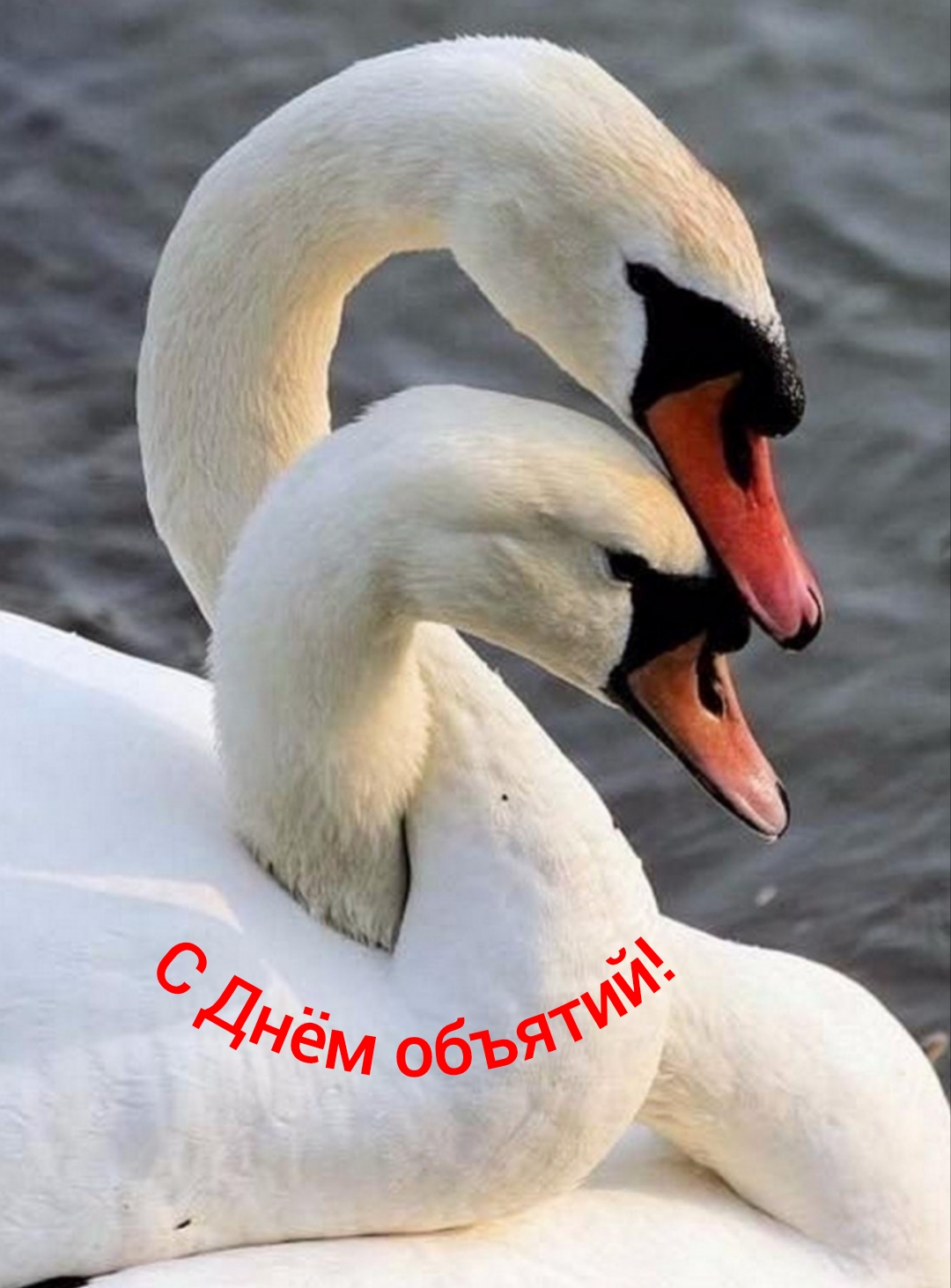 С Днём объятий!