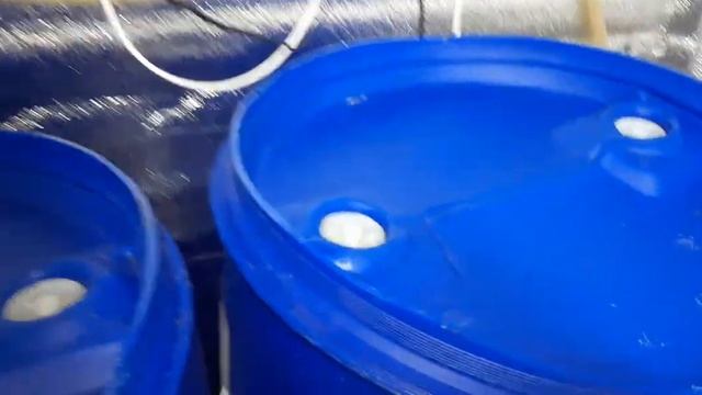 Акваферма работает 4 месяца, особенности.