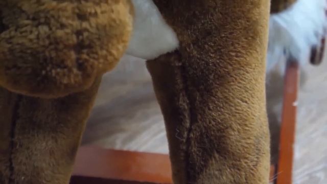 Виртуальная экскурсия Страна детства смотреть онлайн