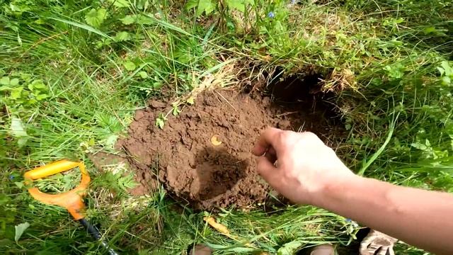 Пригляделся и ЗАМЕР! Такого я еще не находил!