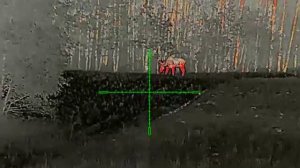 Лось. Охота. Тепловизор. Iray saim scl35w.