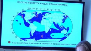 Лекция "Исследование косаток на Дальнем Востоке России"