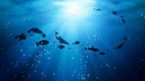 Richard Hawley - The Ocean