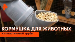 Кормушка для животных из пластиковой трубы — Самая народная программа