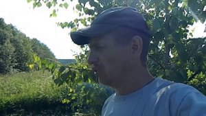 Жизнь в деревне#17.На покосе.В деревне лень запрещена.