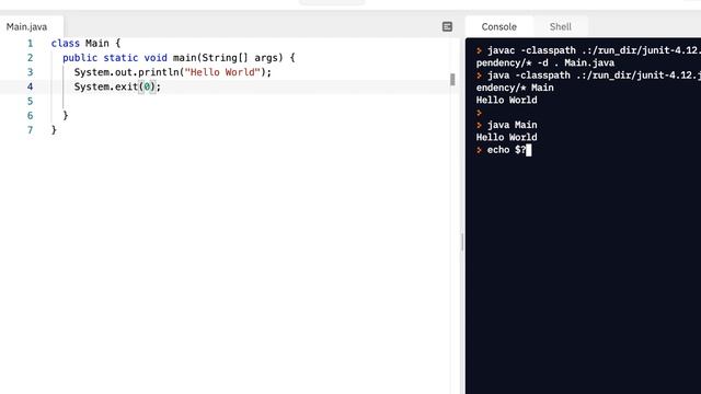 Java Programming Skills Using Replit: System.exit()