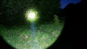 Nitecore TM39 in evening 2