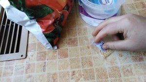 Китайские помидоры с Алиэкспресс От посадки до урожая
