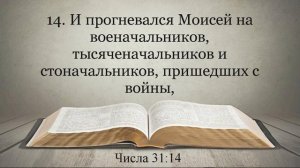 Лучшая Видео Библия. Чтение Числа. Главы 30-31. Синодальный перевод