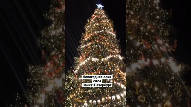 Новогодняя елка в Санкт-Петербурге 2023 год. #shortvideo #christmastree