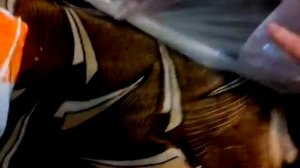 Микроволновая печь MYSTERY MMW-2013