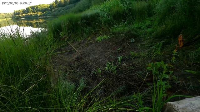 РЫБАЛКА НА ФИДЕР ,ЛОВИЛ ЛЕЩА смотреть онлайн