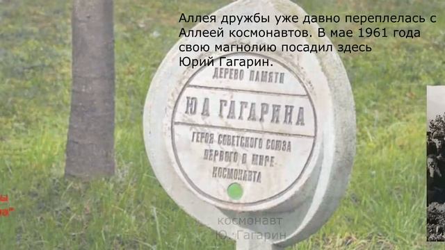 60 лет — Поляна Дружбы в парке Ривьера в Сочи.