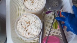 Пастеризация молока. Кишечная палочка в сыре.