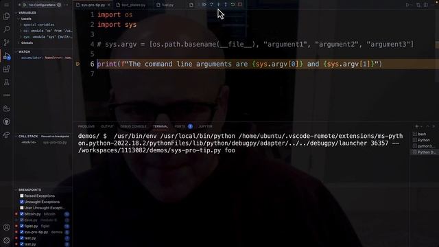 Debugging your Python code that has command-line arguments