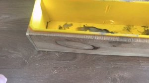 Моноколесо #13
#моноколесо
#euc
#ks14D