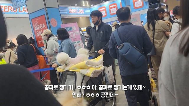 [시트콤 대신 멍트콤] 펫페어에 가시면 이 사료를 꼭 사세요(강아지 눈물에 최고인 사료) 43화│포메라니안 입양 브이로그│ смотреть онлайн