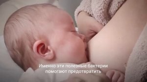 грудное вскармливание малыша