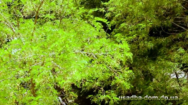 ЖК Усадьба смотреть онлайн