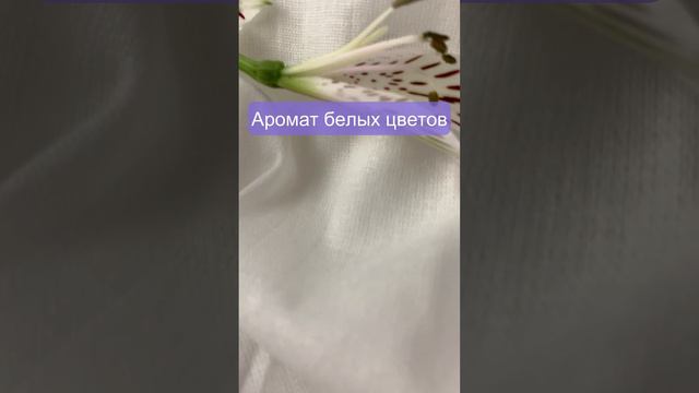 Бюджетные духи с ароматом нежности и чистоты 💗