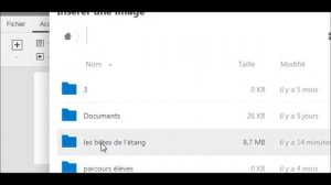 OnlyOffice Nextcloud insérer une image photo